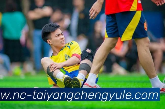 澳门太阳城平台生态图